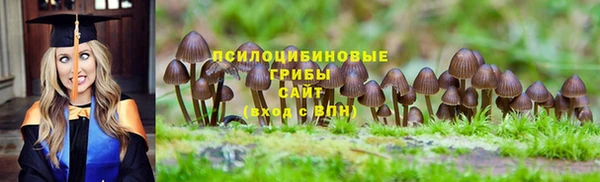 дживик Абаза