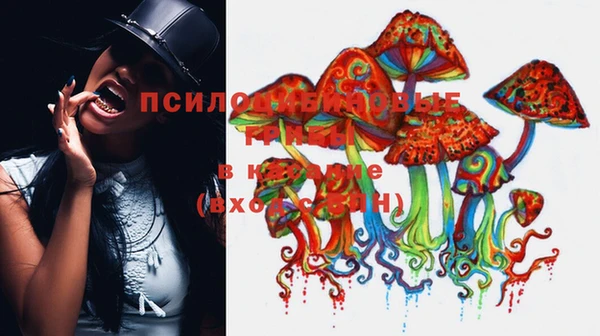 MESCALINE Алзамай